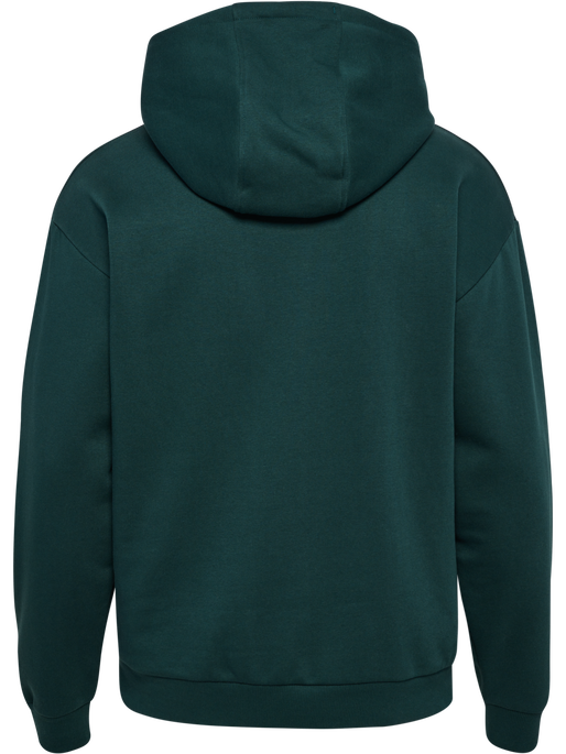 hmlLOOSE HOODIE SPORTSWEAR, PONDEROSA PINE, packshot