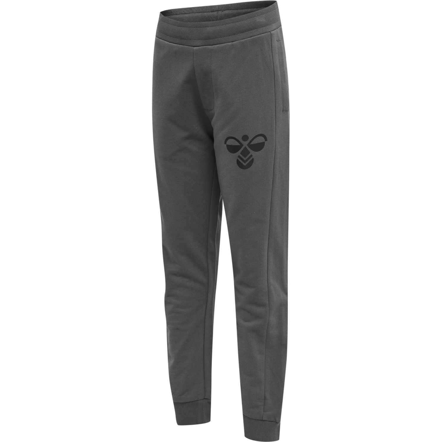 hmlSKYLINE PANTS, 1971, packshot