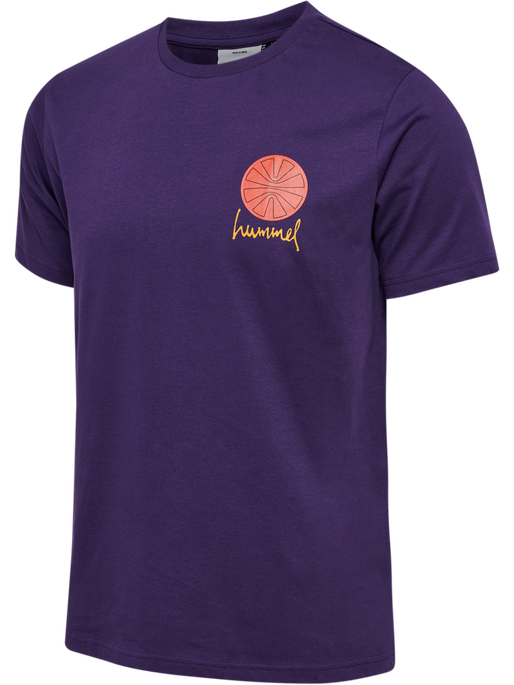 hmlREGULAR GRAPHIC TEE S/S, BLACKBERRY CORDIAL, packshot