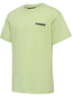 SHADOW LIME