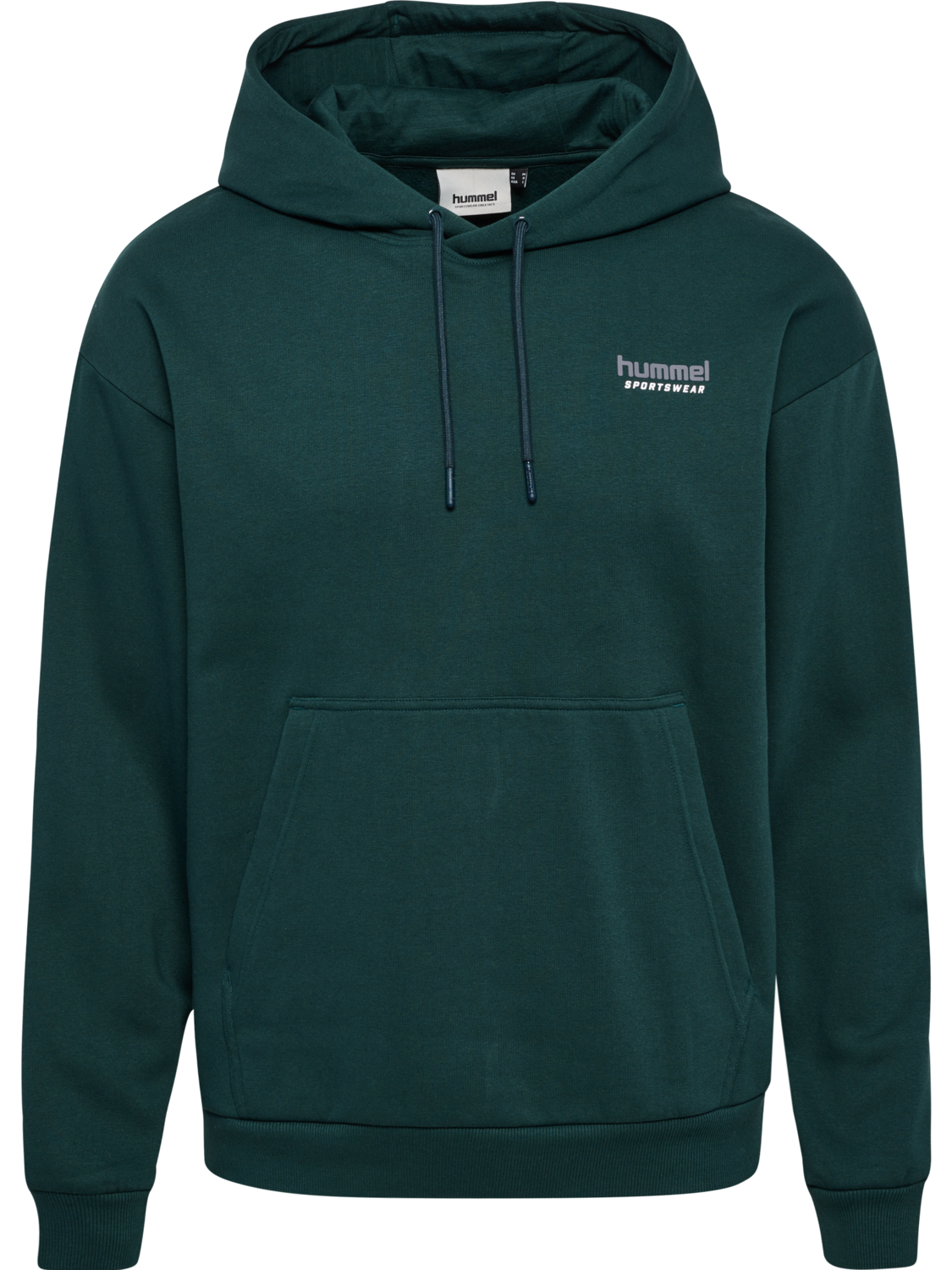 hmlLOOSE HOODIE SPORTSWEAR, PONDEROSA PINE, packshot