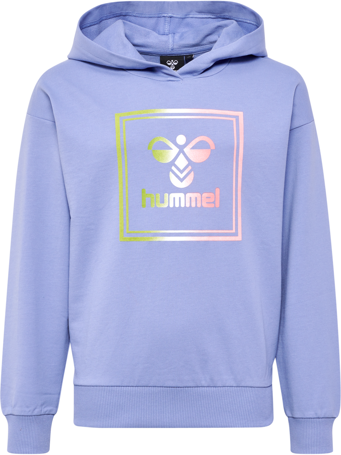 HMLLEIDEN HOODIE, 1049, packshot