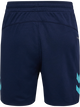 MARINE/BLUE FISH