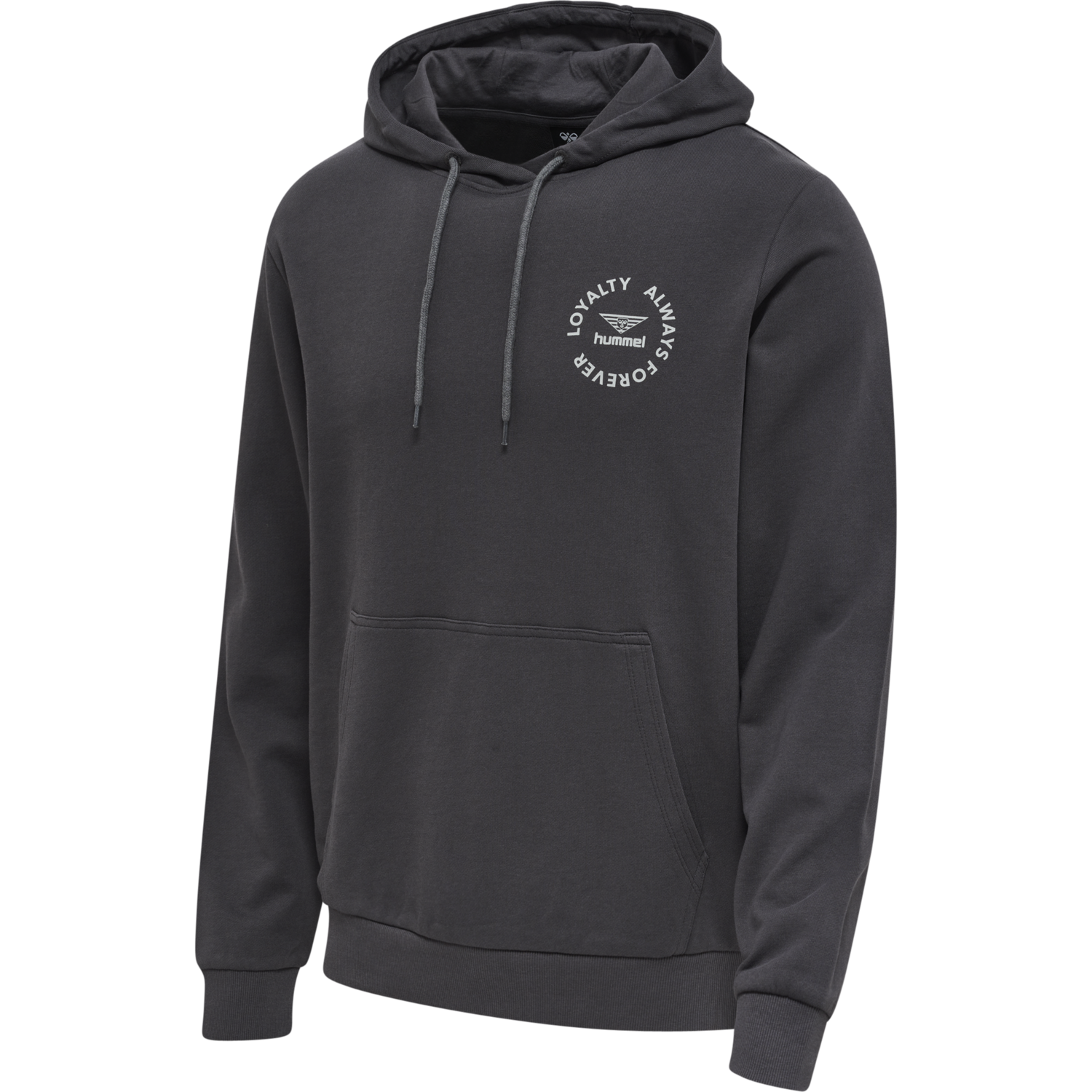hmlLGC LOYALTY HOODIE, BLACKENED PEARL, packshot