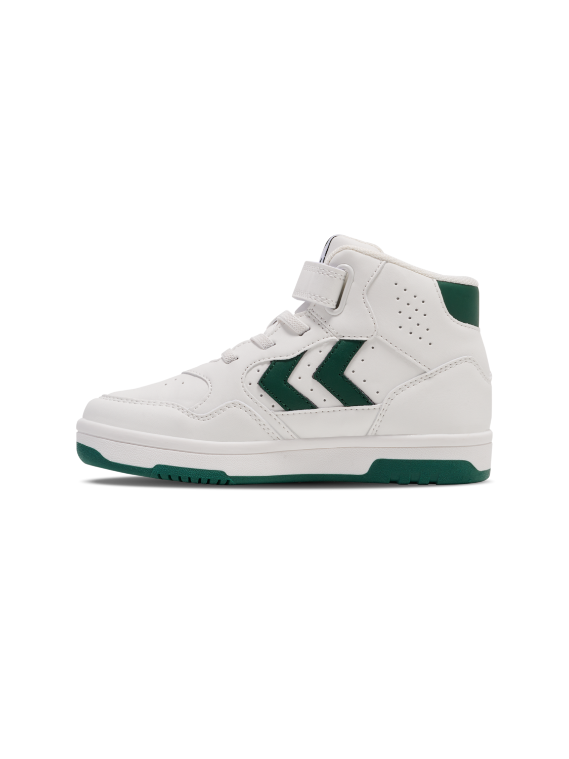 CAMDEN HIGH JR, GARDEN TOPIARY, packshot