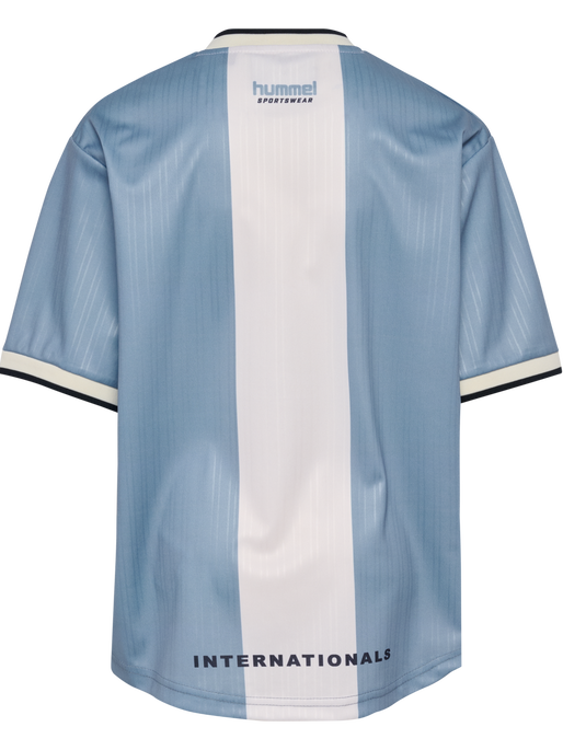 hmlJR LOOSE BALL  JERSEY S/S, FADED DENIM, packshot