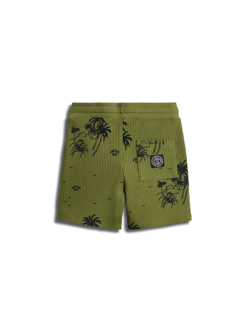 stsBAHAMAS SHORTS, MAYFLY, packshot