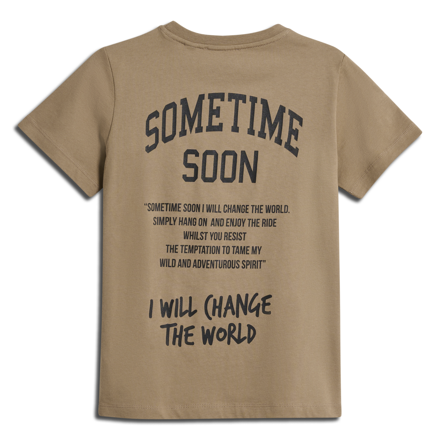 stmDIMAS T-SHIRT S/S, SEPIA TINT, packshot